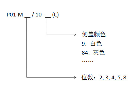 p01m中1.jpg